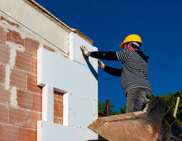 Best Professional Insulation Contractor  in Branchville, SC