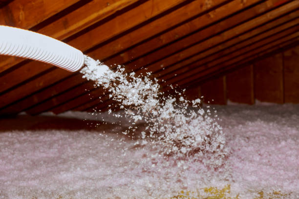 Best Attic Insulation Installation  in Branchville, SC