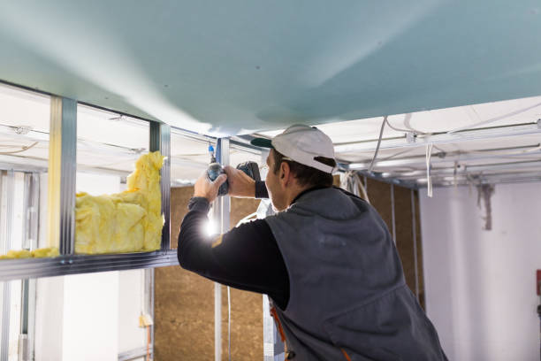 Best Spray Foam Insulation  in Branchville, SC