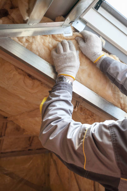 Best Crawl Space Insulation  in Branchville, SC