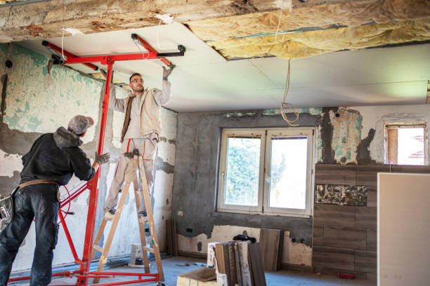 Insulation Repair Services in Branchville, SC