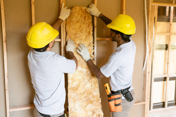Best Local Insulation Services  in Branchville, SC