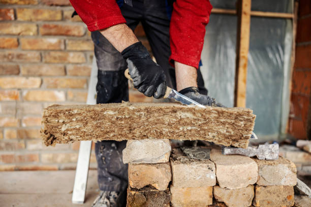 Best Wall Insulation Contractor  in Branchville, SC