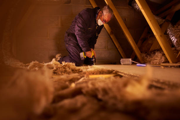 Best Local Insulation Services  in Branchville, SC